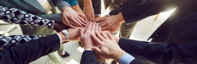 協力いただいた企業・専門家